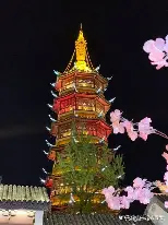 重磅：德约科维奇目标并未(德约科维奇能成为史上最佳吗?)