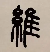 维尼修斯有新变化后续来了的简单介绍|