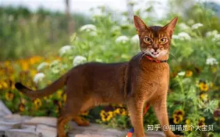 重磅：Ming中超首位下课主帅(2026中超已下课的主帅有哪些人)